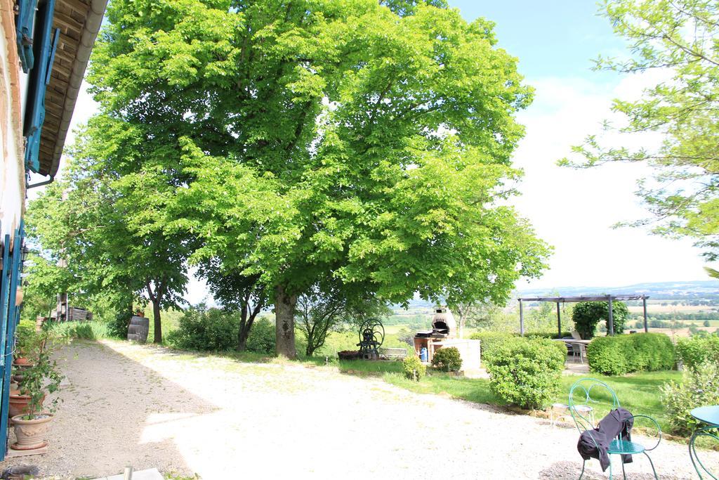 La Pigario Bed & Breakfast Lisle-sur-Tarn Dış mekan fotoğraf